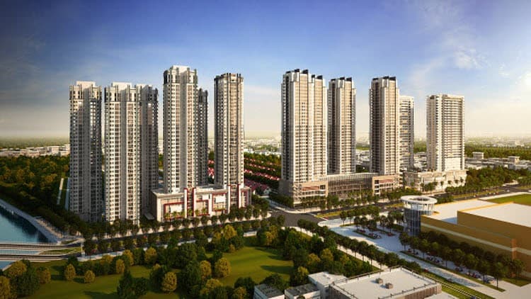 gallery image background