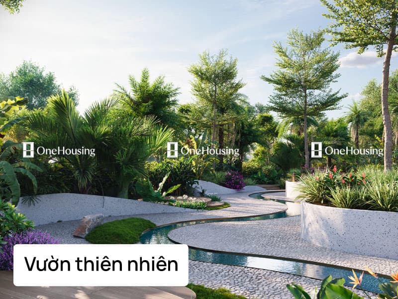 anh tien ich  4