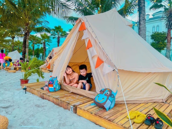dịch vụ camping tại Ocean Park