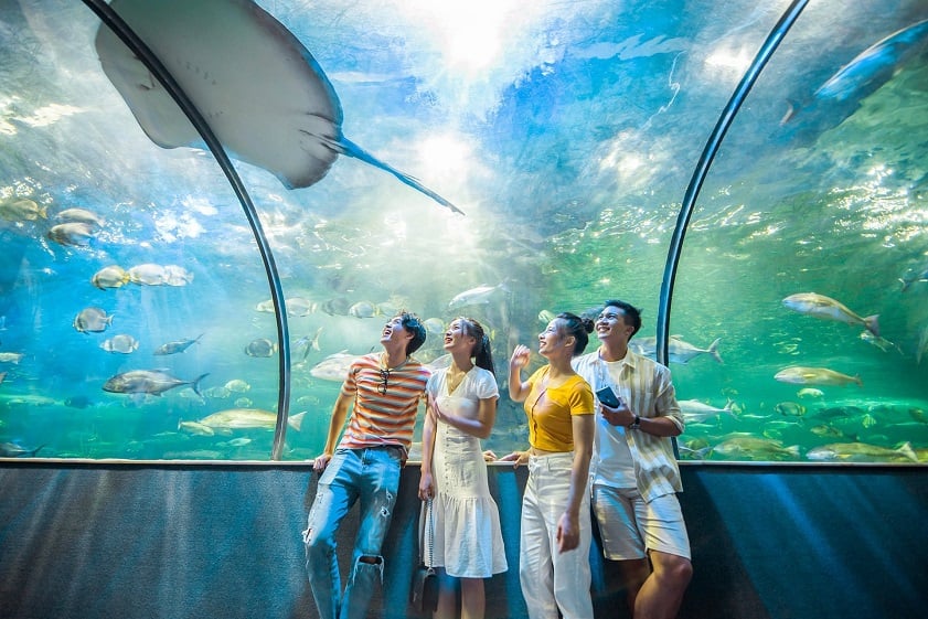 Thủy cung Vinpearl Aquarium tại Vincom Times City là điểm check-in hấp dẫn. Ảnh: VinWonders