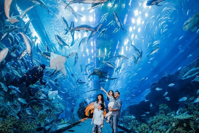 Hình ảnh Thủy cung Vinpearl Aquarium tại Times City
