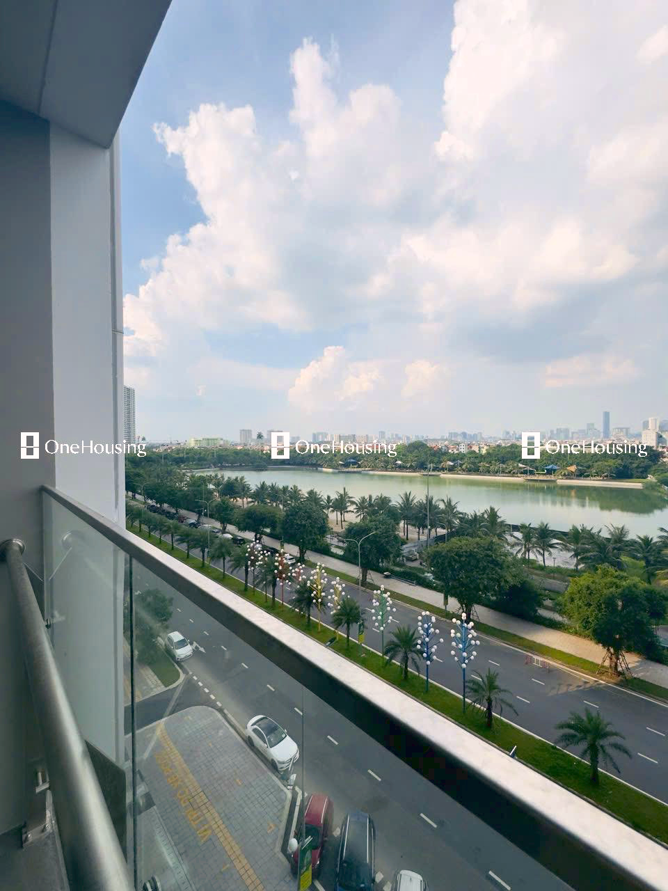 Ảnh 8