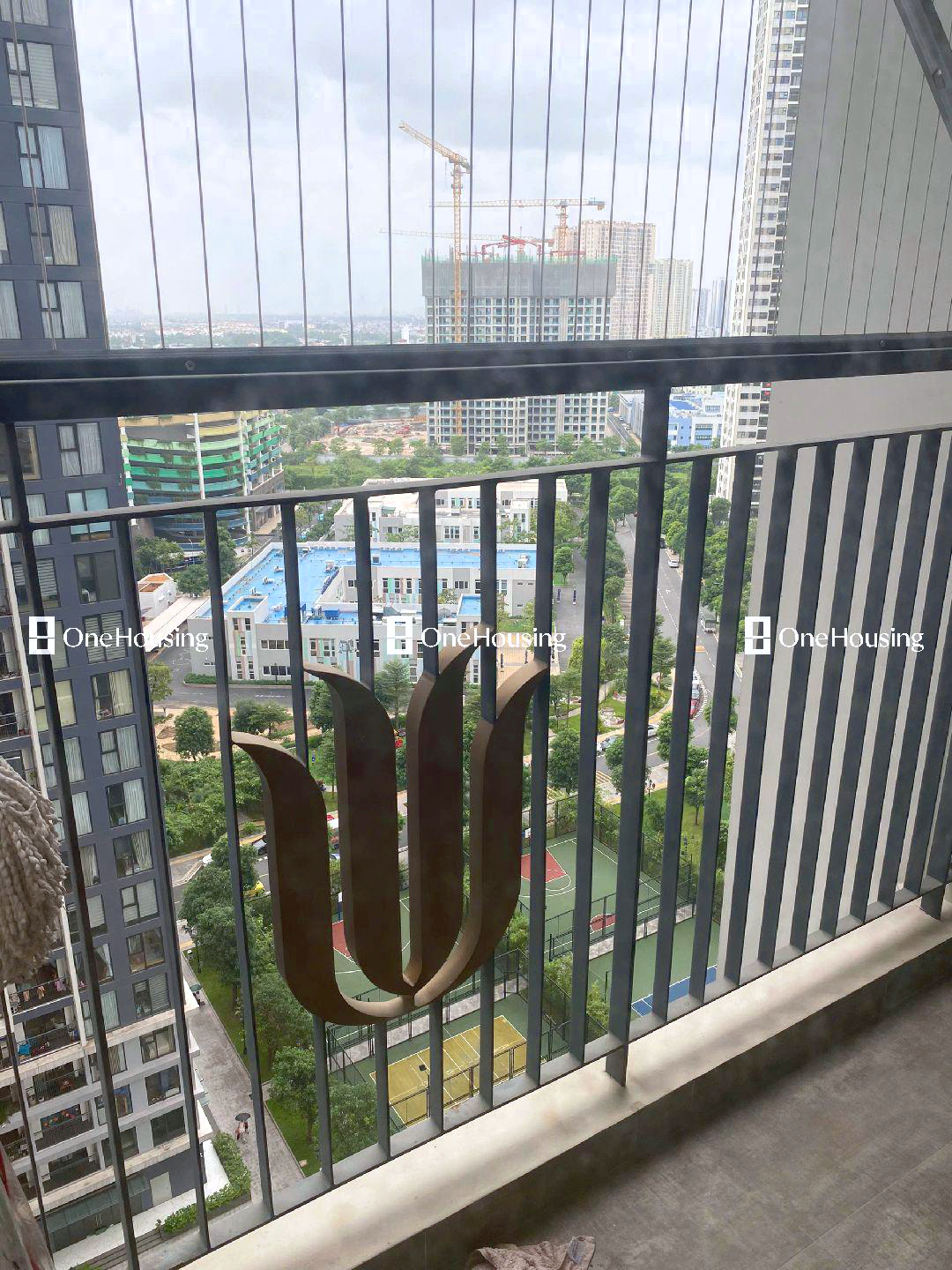 Ảnh 6