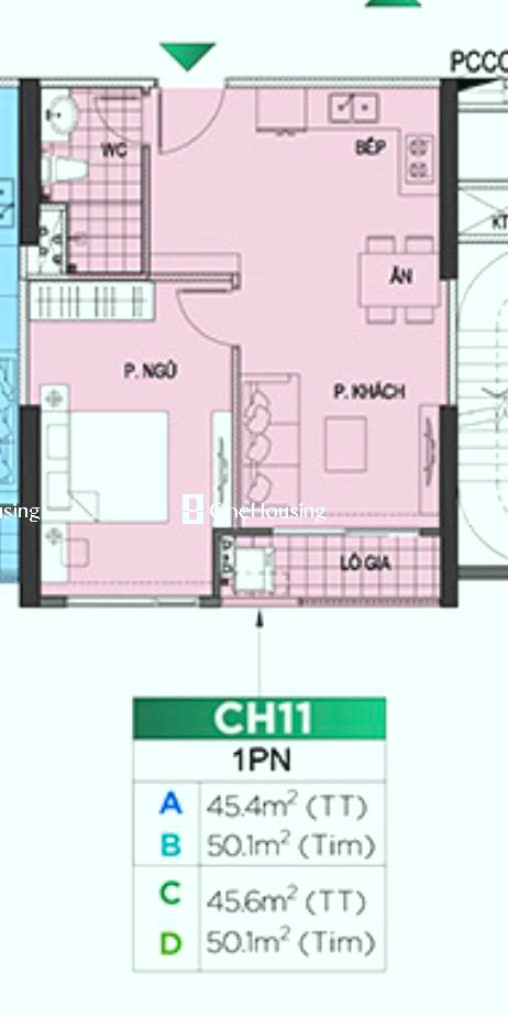 Ảnh 4