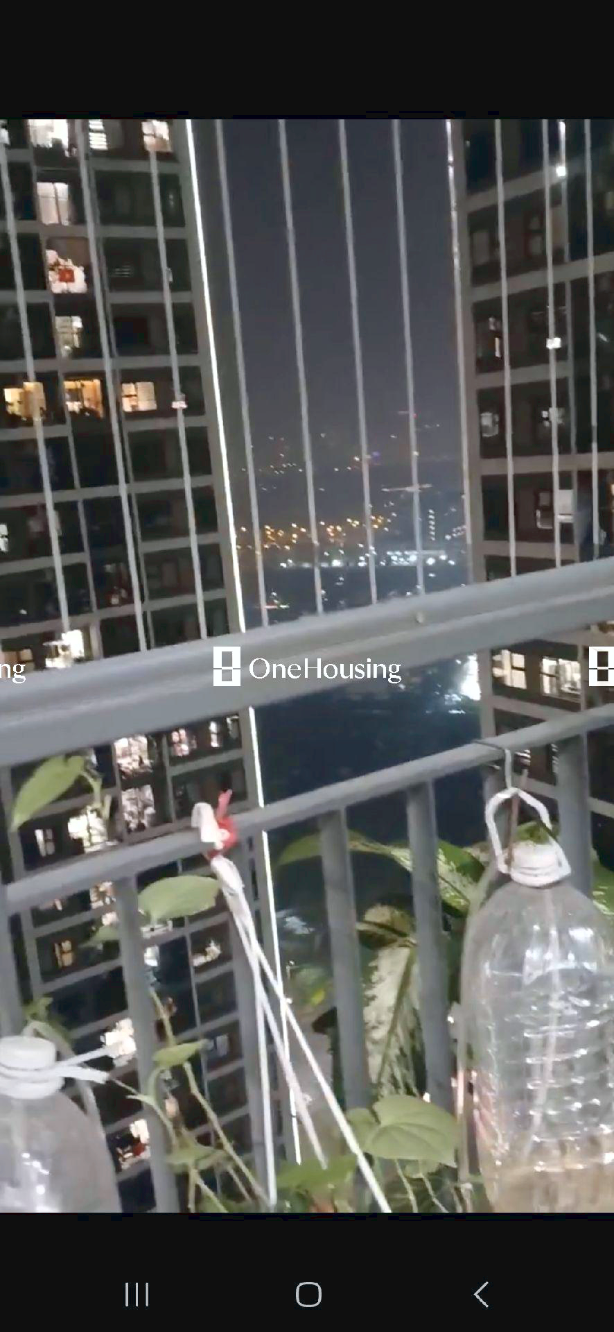 Ảnh 5