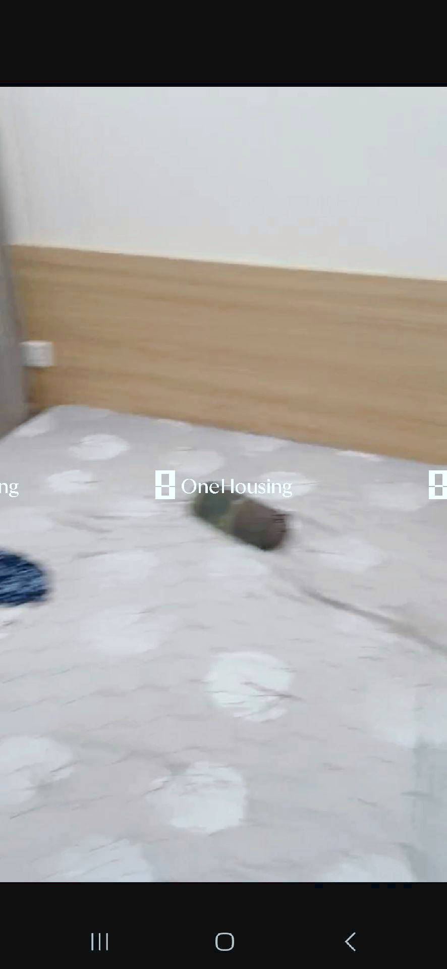 Ảnh 3